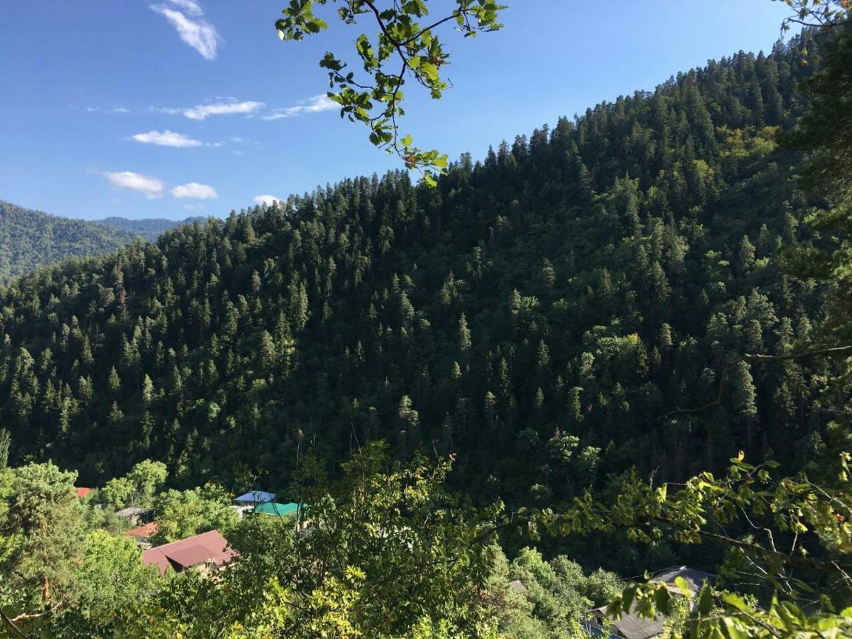 Serenity Likani Villa Hotel Боржоми Экстерьер фото