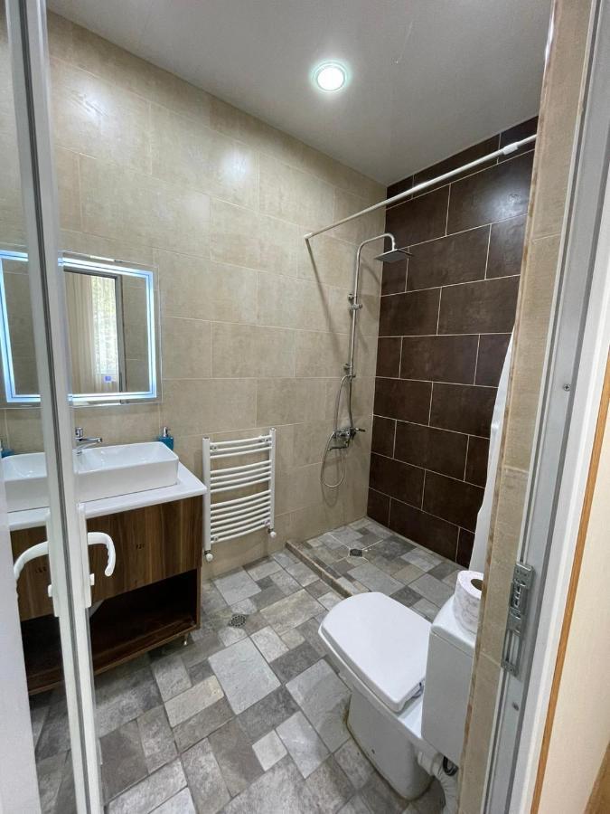 Serenity Likani Villa Hotel Боржоми Экстерьер фото