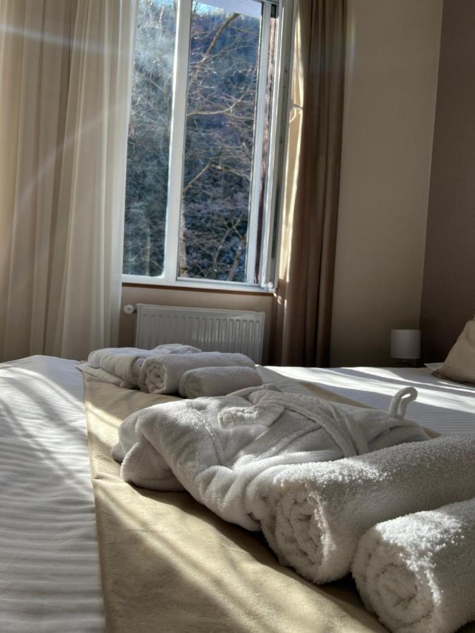 Serenity Likani Villa Hotel Боржоми Экстерьер фото
